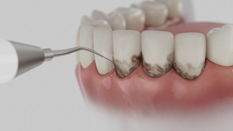 Reliable Dental contractor in Arabi, LA by Dentist Open Now